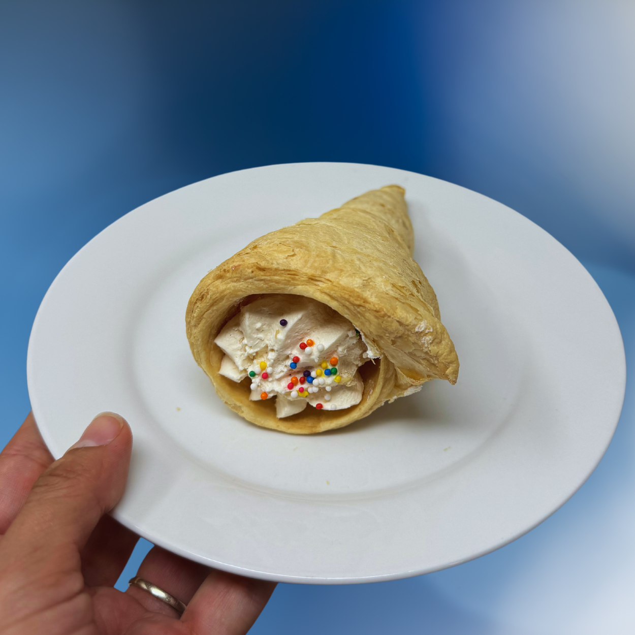REPOSTERIA MIXTA